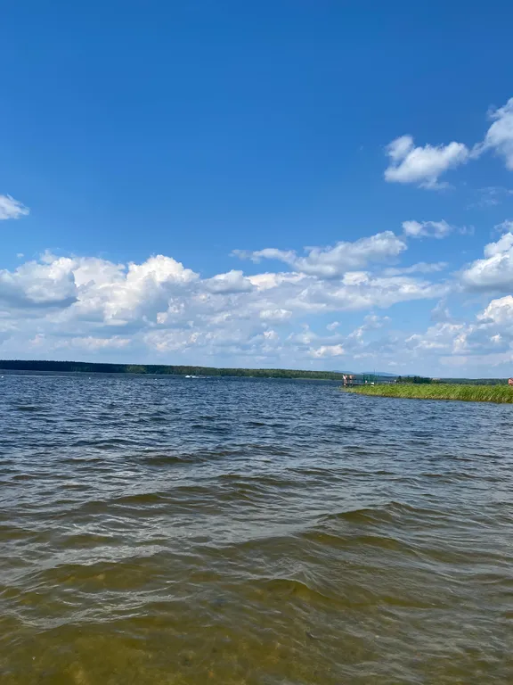 Квартира на озере Еланчик с видом на лес