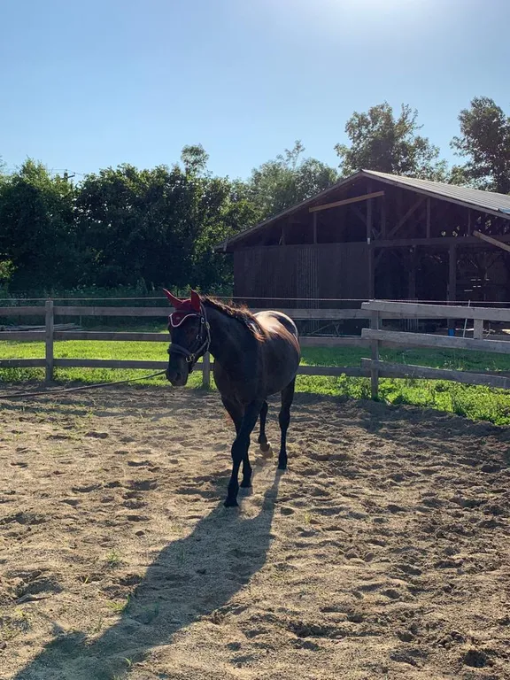 Коттедж Коттедж Оствинд — Апшеронск