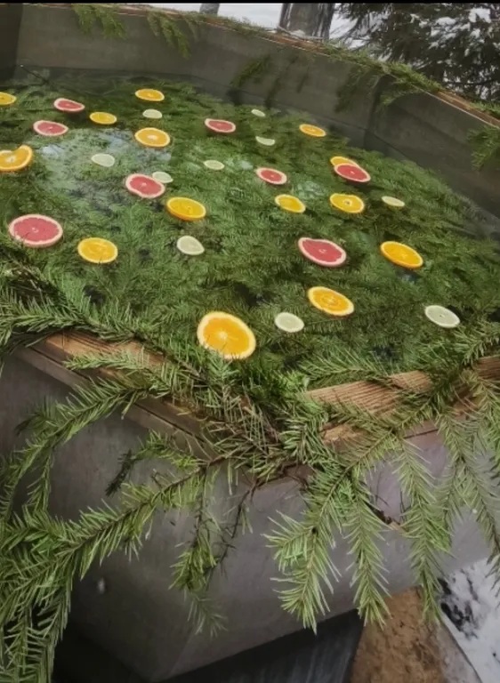 Дом 2 этажа на 10 гостей с сибирским чаном и баней