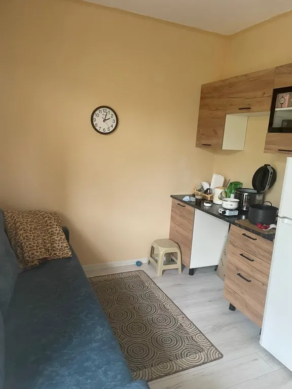 Уютная 3-х местная квартира-студия