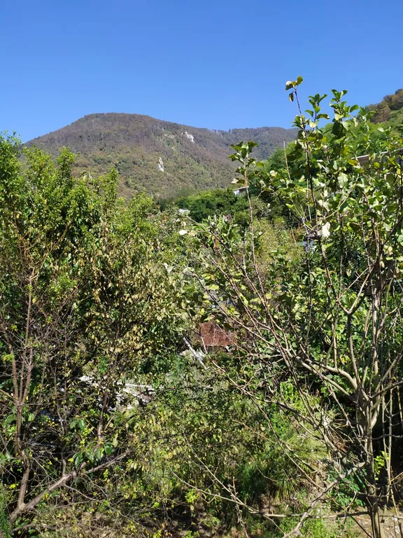 Квартира Уютная комната недалеко от моря — Гагра