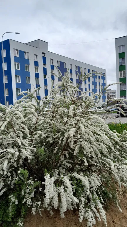 Карелия Сортавала 2 комнатная квартира, wi-fi, парковка, рядом кафе, озеро