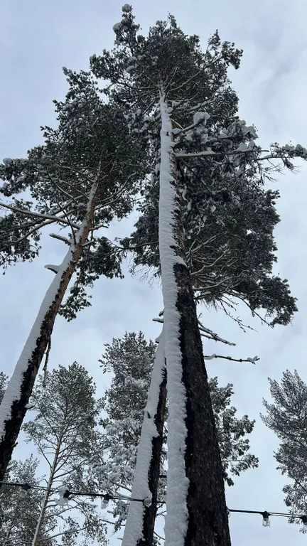 Эко-домик с видом на горы