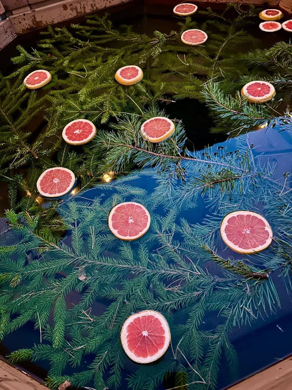 Барнхаус с баней и банным чаном