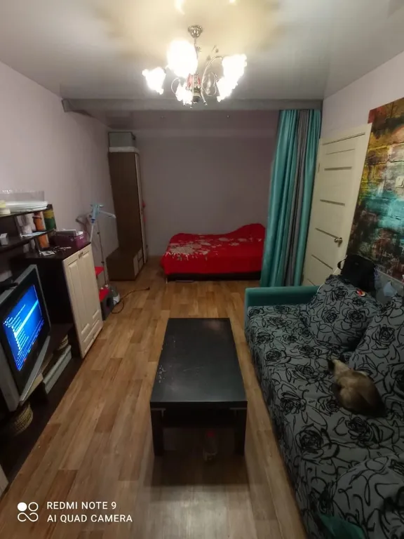 2-комнатная квартира на майнинг