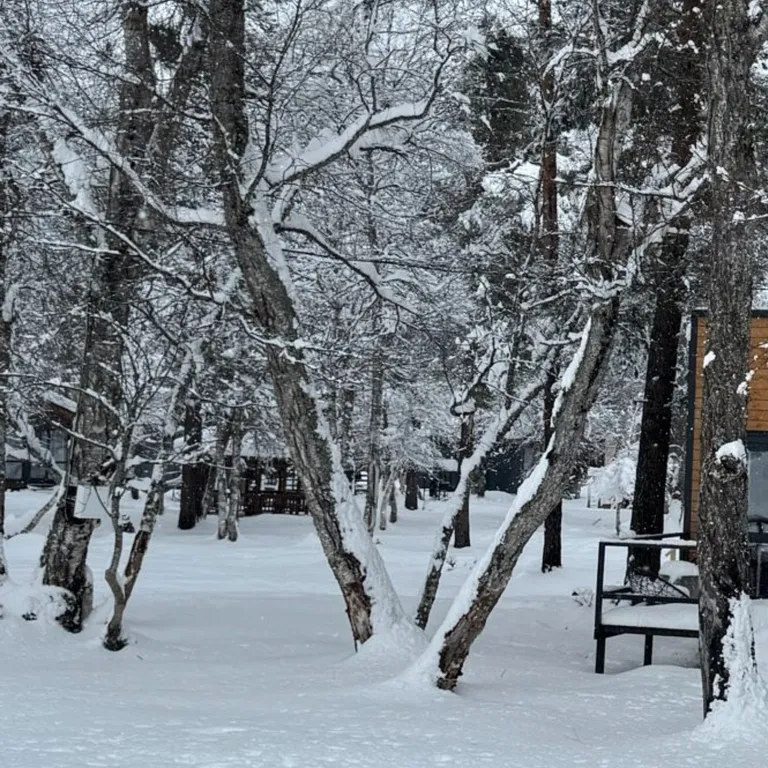Коттедж в заповедной зоне