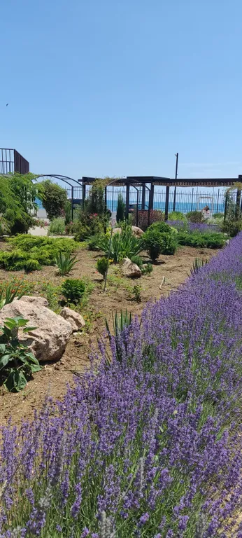 Апартаменты с видом на море