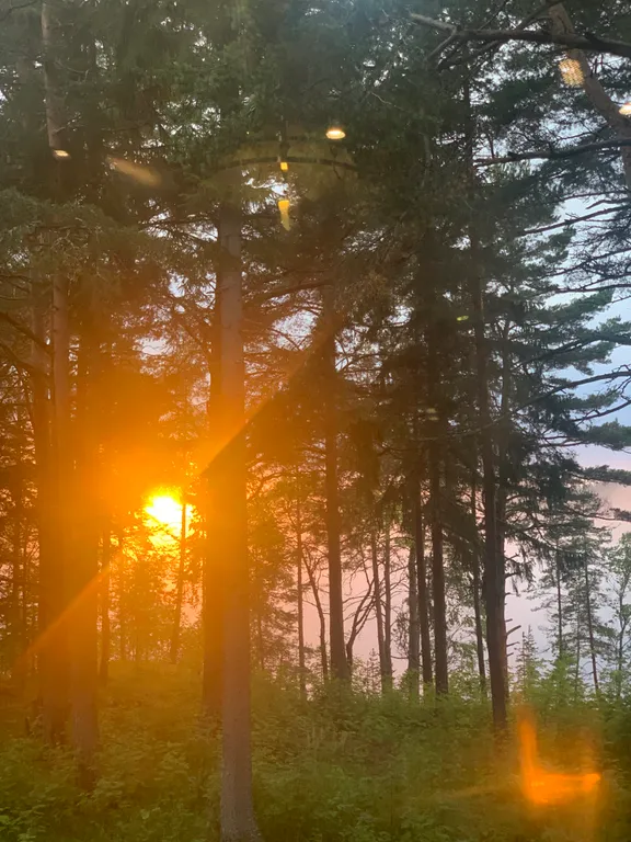 Домик в живописном месте на берегу Ладожского озера