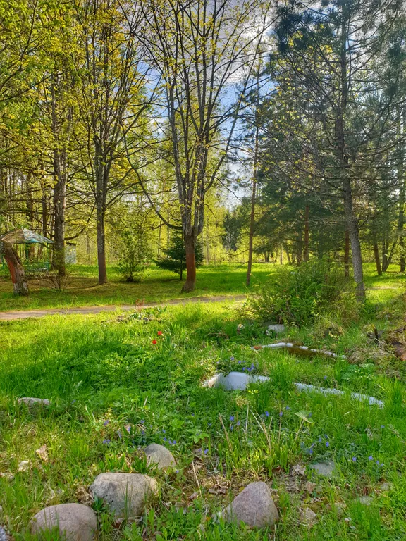 Усадьба Колос