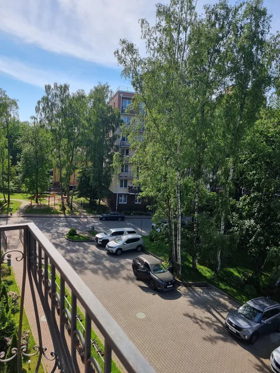 Квартира 1-комнатная Квартира — Светлогорск