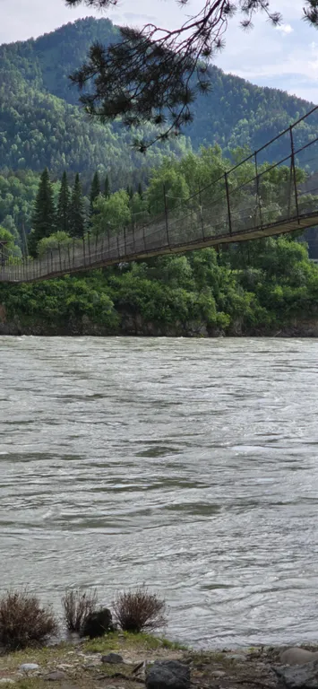 Дом на берегу Катуни