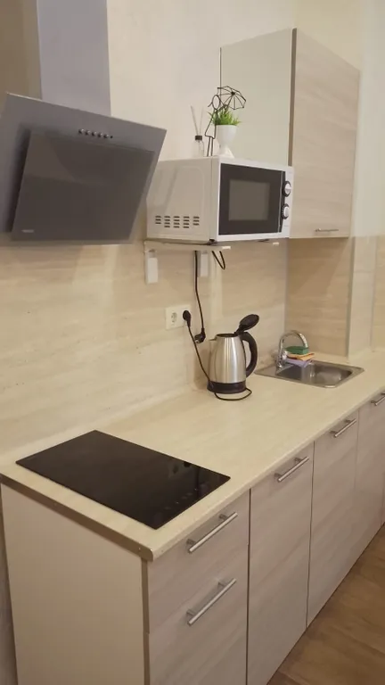 Квартира 1-комнатная Квартира — Сириус