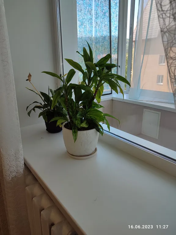 Ваша уютная квартира