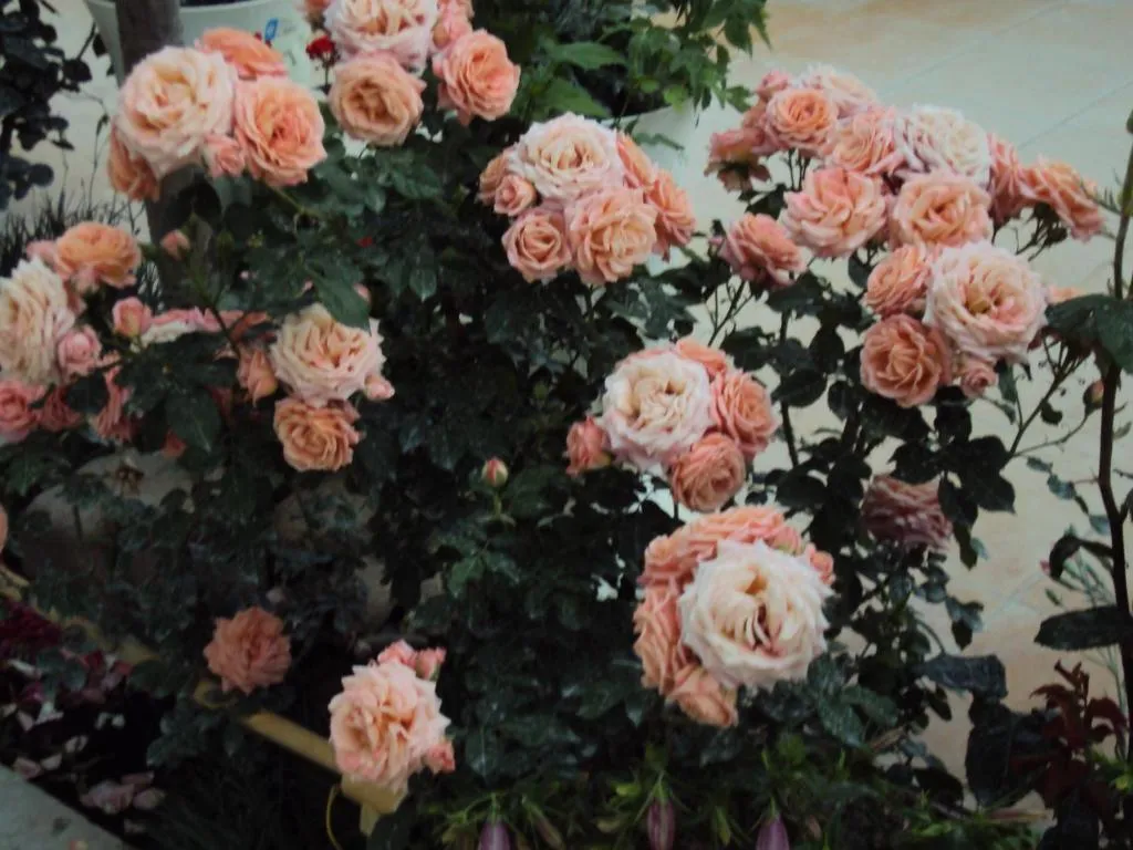 Квартира у моря