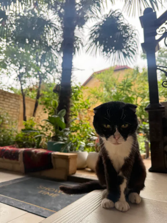 Коттедж 2-комнатный Дом — Дербент