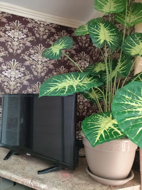 Бюджетная небольшая квартира