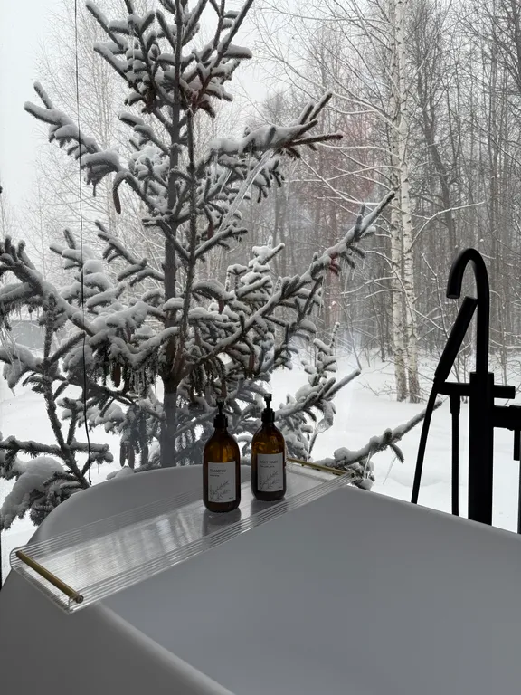 Домик с панорамной ванной в лесу