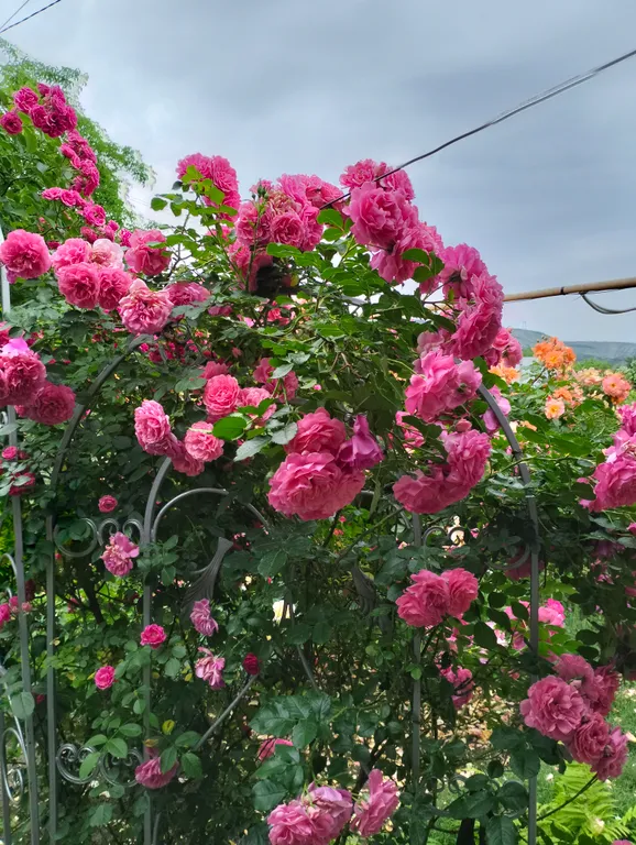 Уютный дом с цветами, видом на горы, мангалом