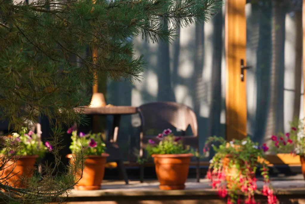 ЭКО-ДОМ ДЛЯ ДВОИХ (+ребенок до 12-ти лет)