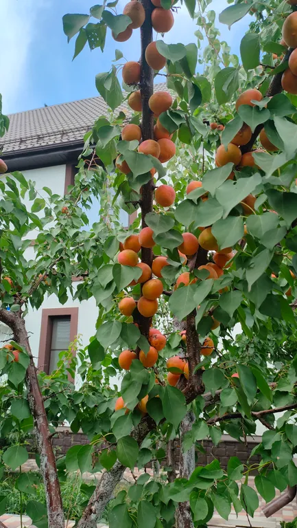 Квартира Квартира Апартамент "Авиньон" с парковкой и завтраком рядом с "Экспоград-ЮГ" — Краснодар