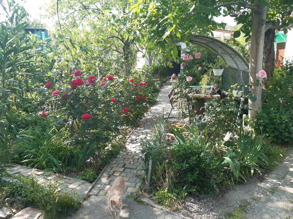 Уютный двухместный домик с тенистым двором