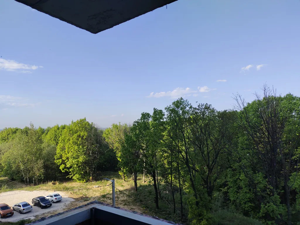 Светлая квартира с видом на рощу