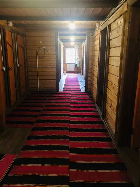 Комната с видом на лес в уютном доме