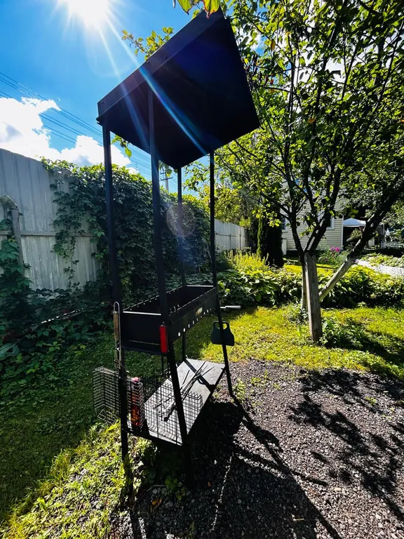 Домик в лесу