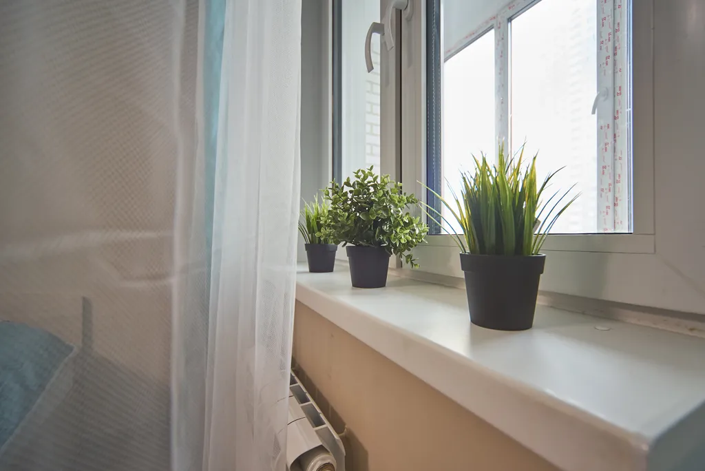 Вид на реку и крокус