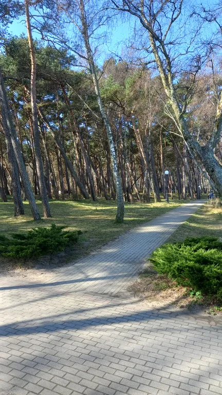 Уютная квартира в 2-х минутах от пляжа и соснового бора