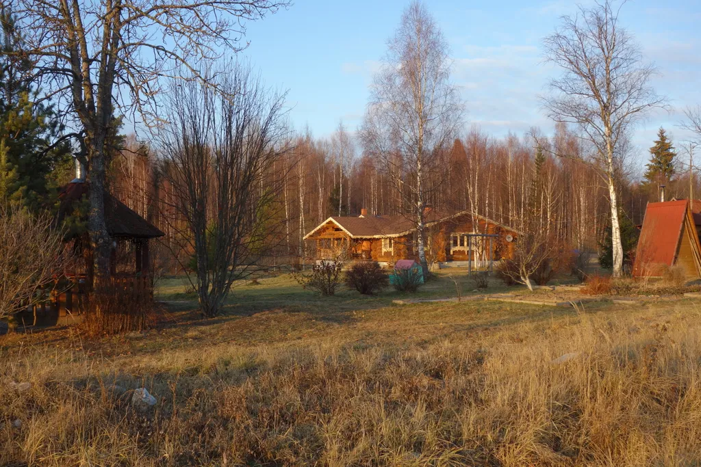 Дом в лесу у озера со всеми удобствами