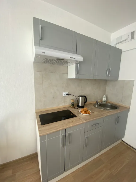 Уютная квартира в экологист чистом районе