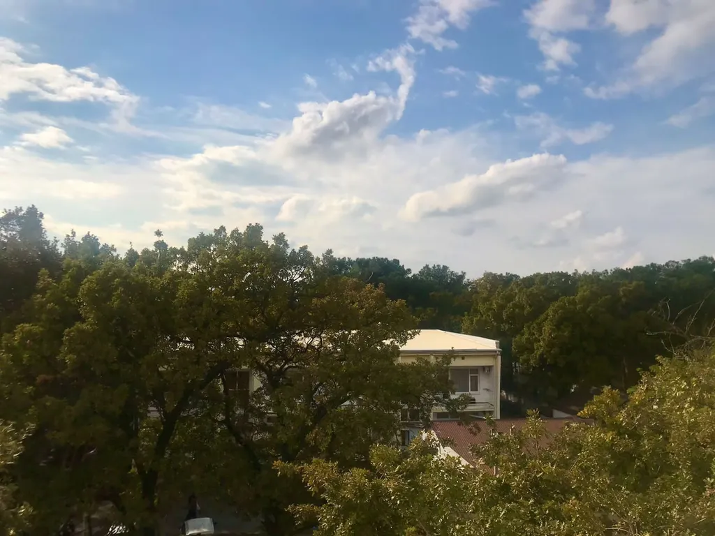 Квартира Уютная квартира с видом на сосны и набережную — Геленджик