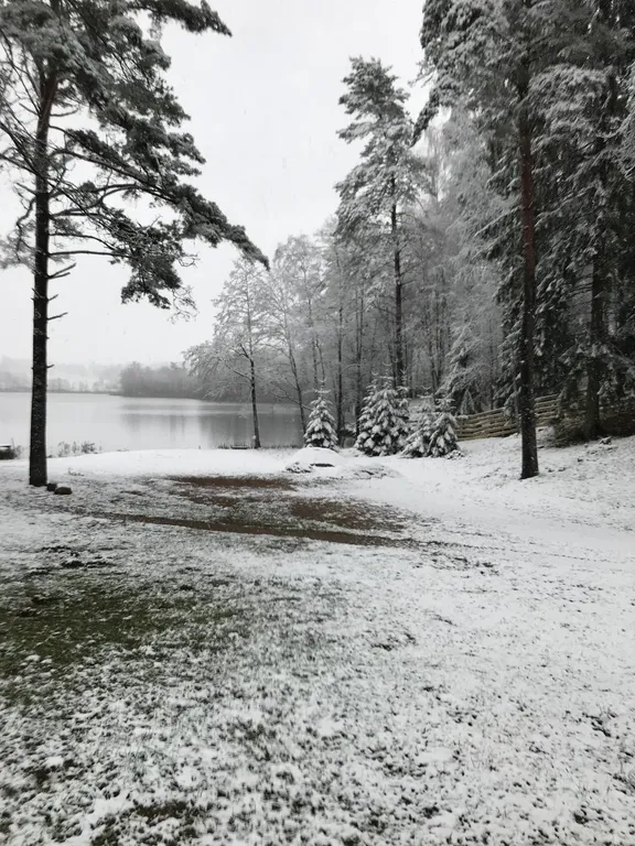 Усадьба в Антроповке