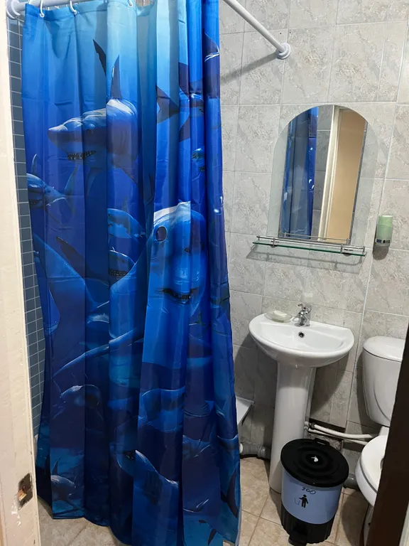 Однокомнатная уютная квартира