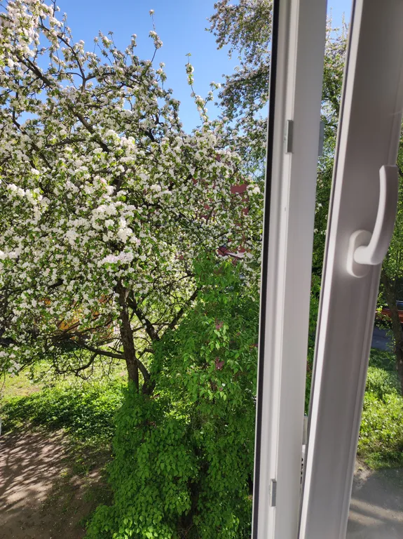 Квартира Квартира Уютный уголок в удобном месте — Калининград