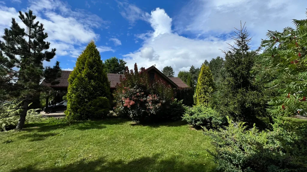 Уединённый хутор в лесу у реки с баней и камином