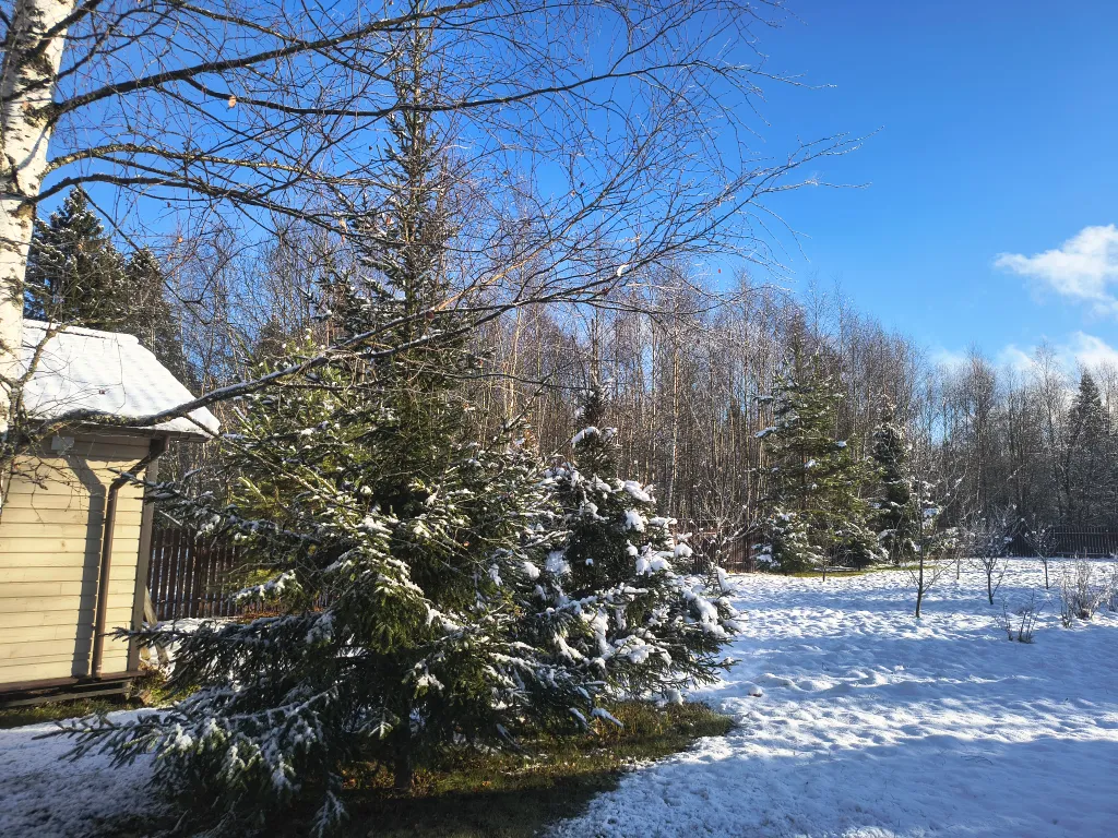 Русская усадьба с баней со швейцарским флёром