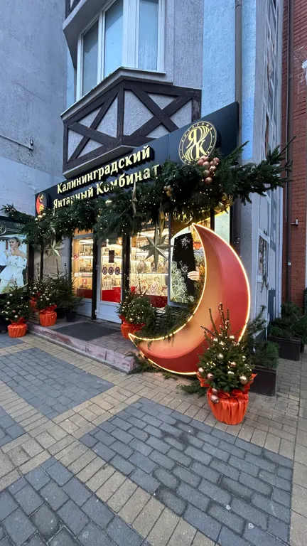 Квартира Уютная квартира в центре города с видом на лес, в комплексе созвездие — Зеленоградск