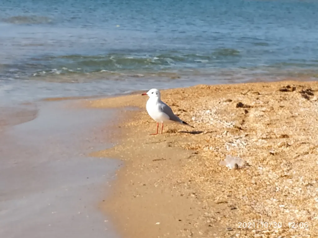 Квартира Апартаменты в 3 мин ходьбы до моря — Анапа