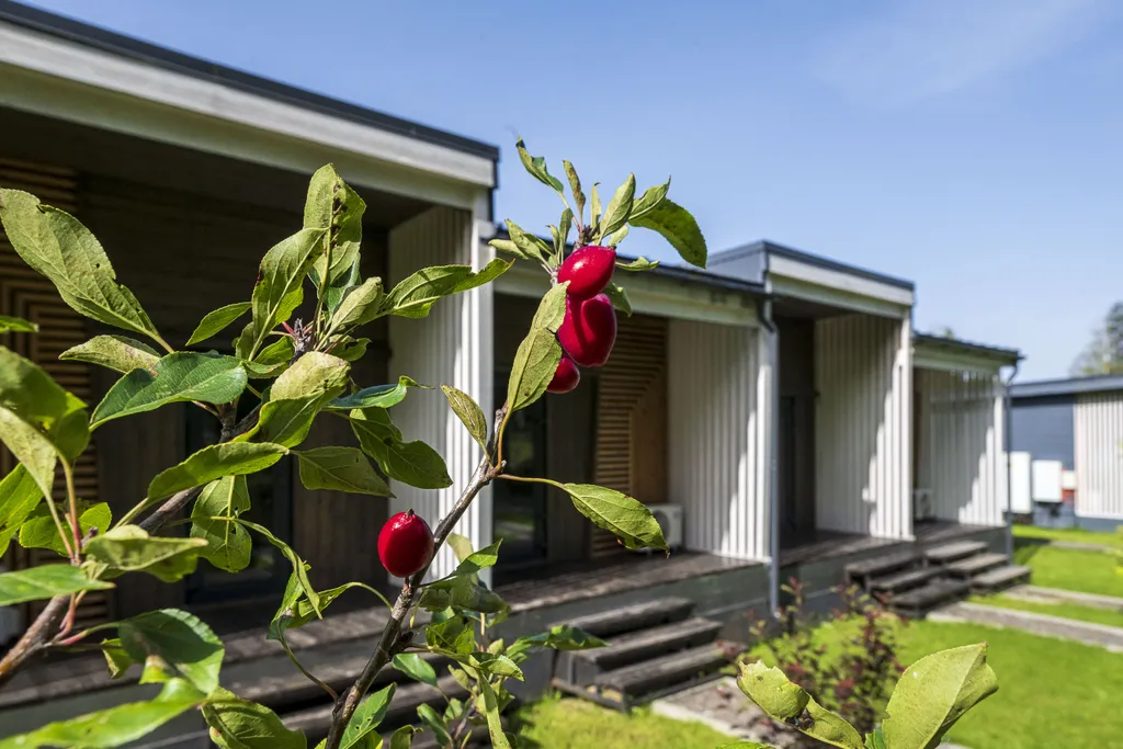 Таунхаус с кухней