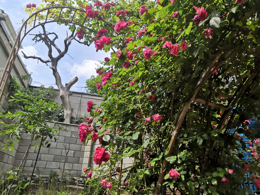 Пентхаус с шикарным видом на море и горы, бесплатная парковка