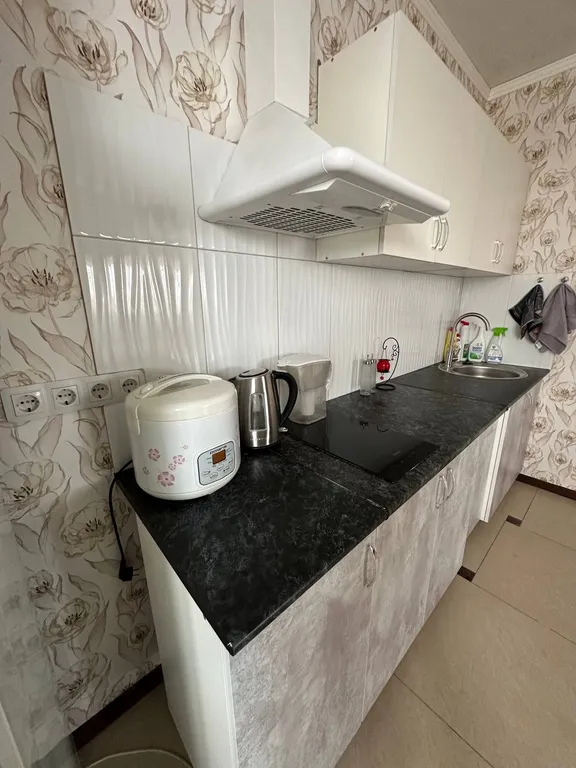 Просторная квартира в трёх кварталах от парка Галицкого