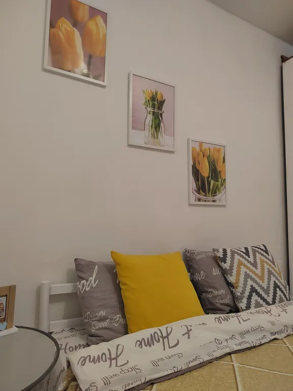 Видовая квартира у Нового рынка