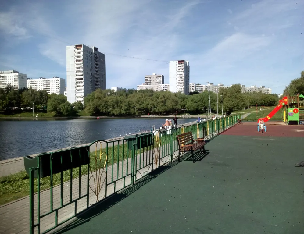 Оранжевая у прудов