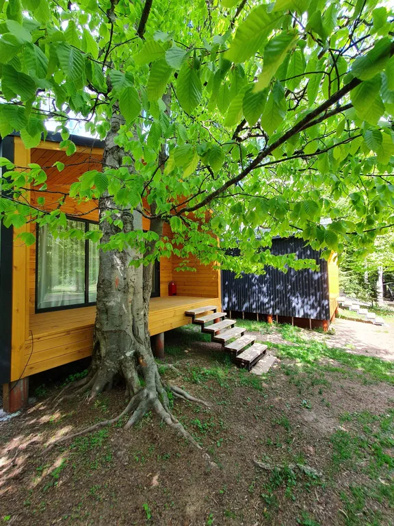 Коттедж Коттедж Шале в лесу — Архыз