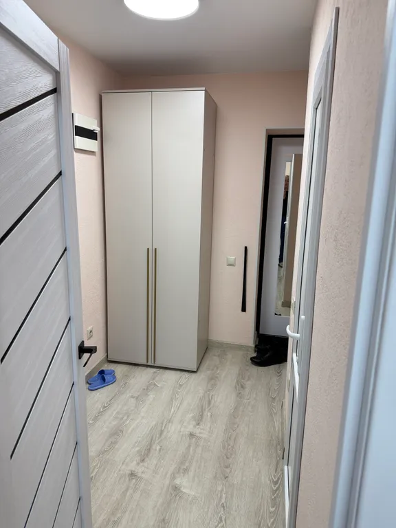 Светлая просторная однокомнатная квартира