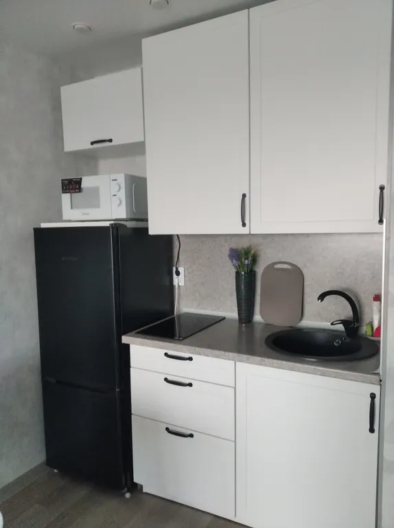 Уютная квартира-студия Делис