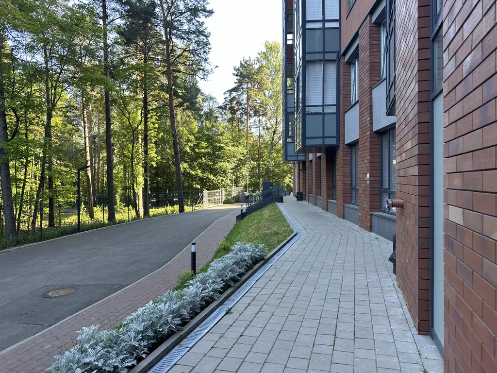 Студия Колосья с качелью на балконе и видом на сосны