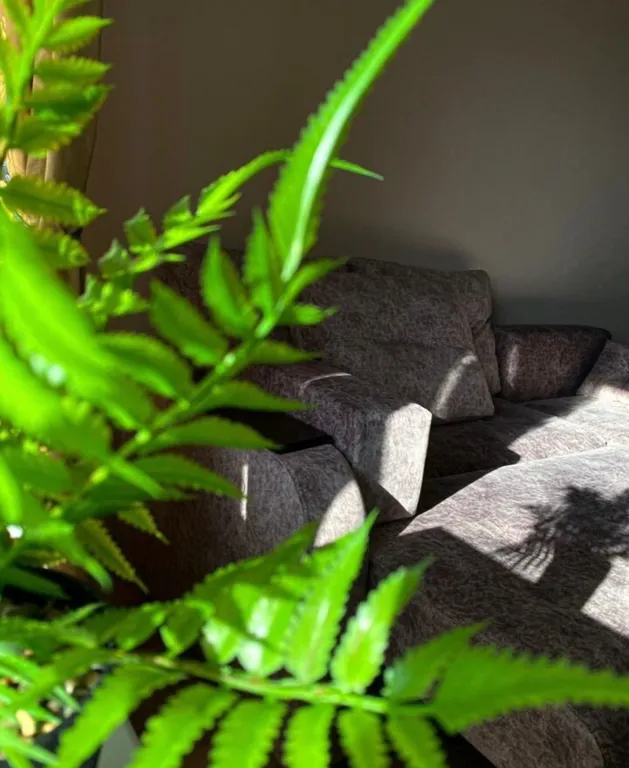 Видовая studio на таможне